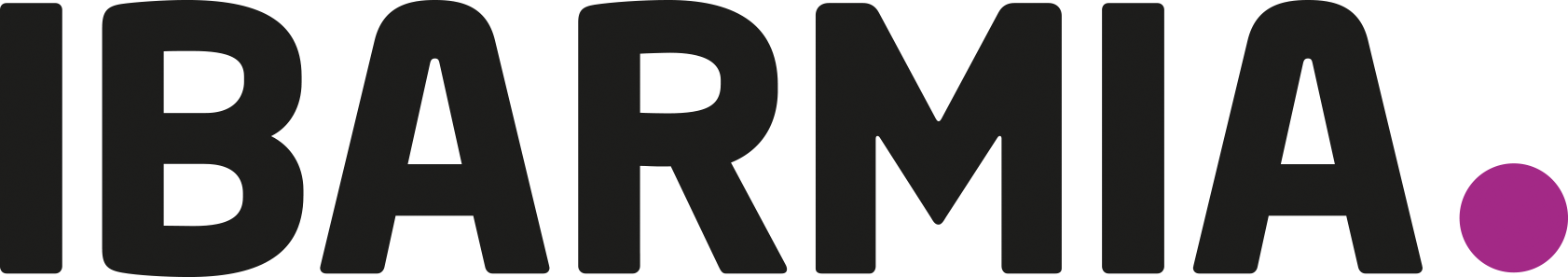 IBARMIA Logo
