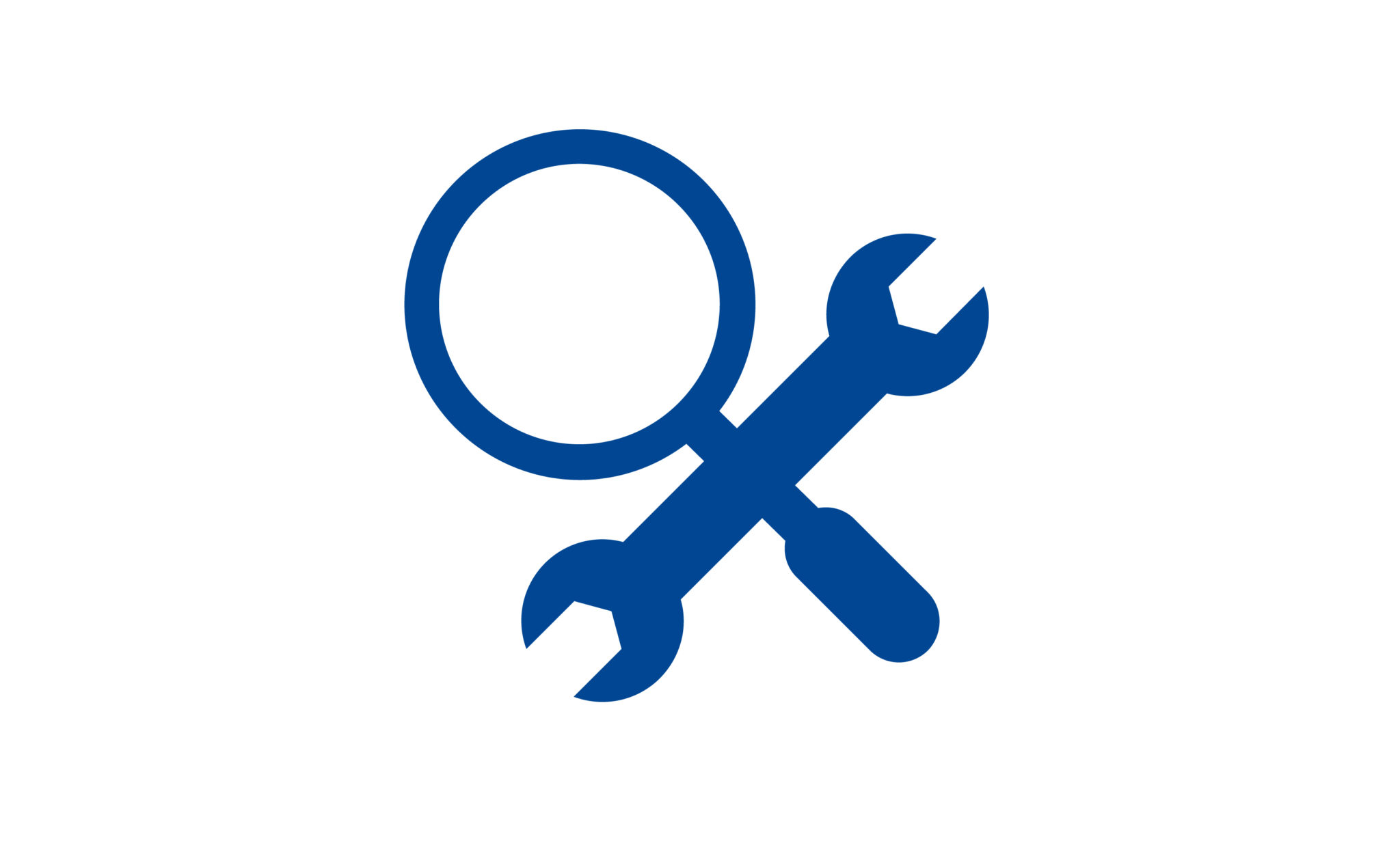 Inspection Icon