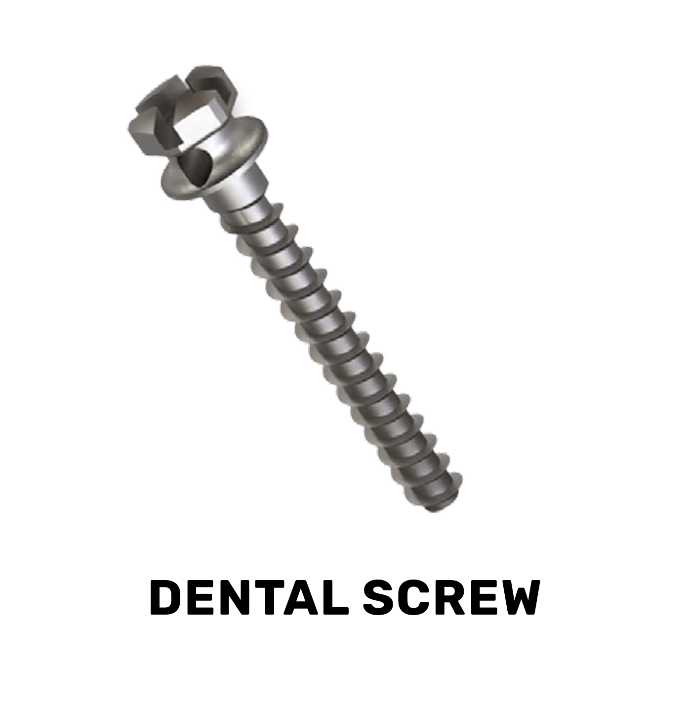 Medical Dental Screw Part Tsugami (1)