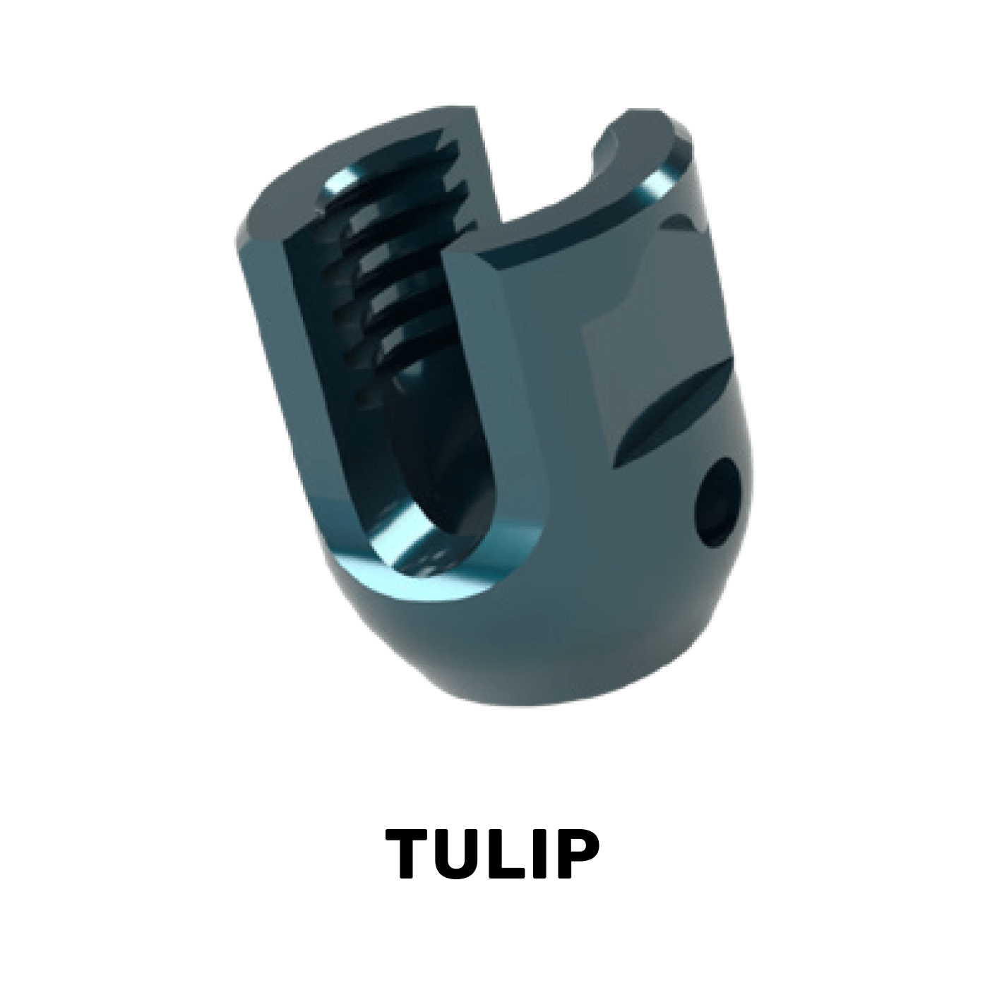 Medical Tulip Part Tsugami (1)