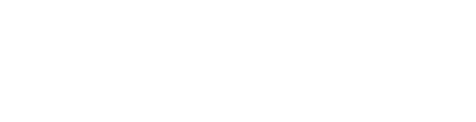Morris South Logo White